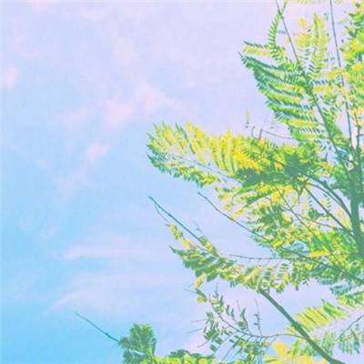 群英皇图梦手游