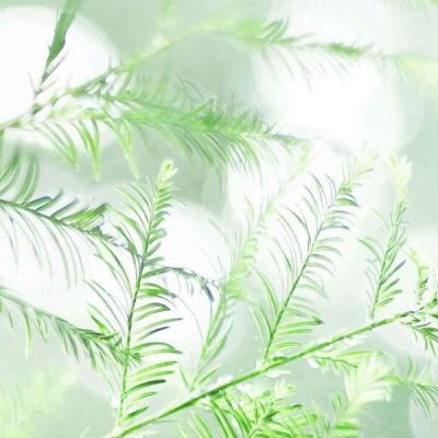 星际文明新纪元游戏下载